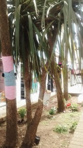 IMG_20160730_143408